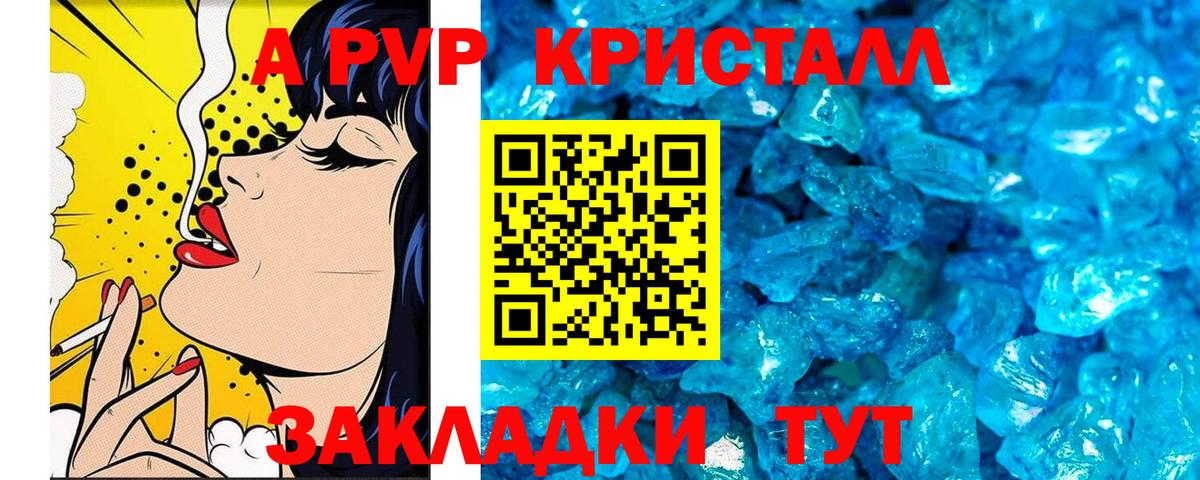 Альфа ПВП СК Выборг
