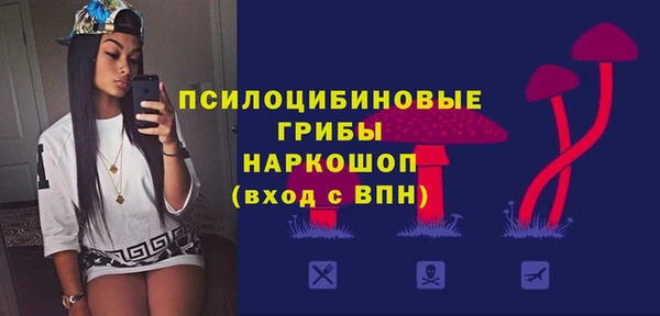 экстази Бородино