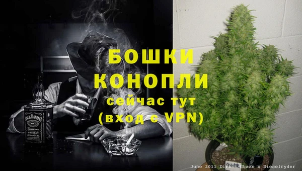 мдпв Верея