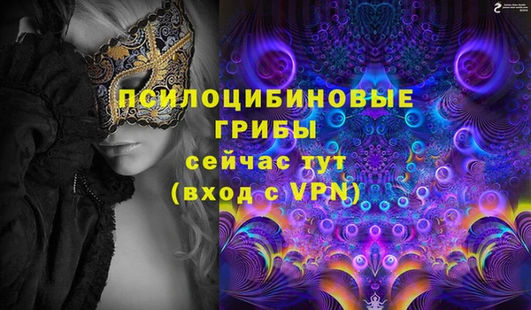 PSILOCYBIN Бронницы