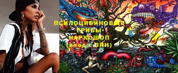мдпв Бугульма