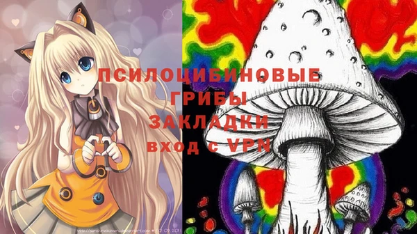 PSILOCYBIN Бронницы