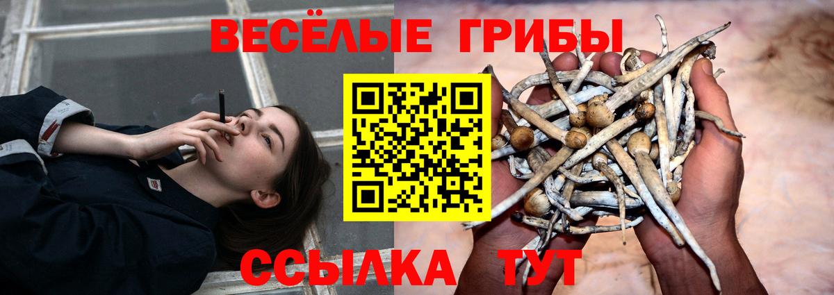 Выборг  Галлюциногенные грибы Psilocybine cubensis  Вход с VPN  Псилоцибиновые грибы Magic Shrooms 